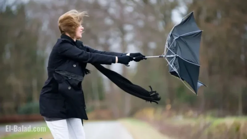 Wind Gusts Sweep DC Area, Dropping Temperatures Monday Evening