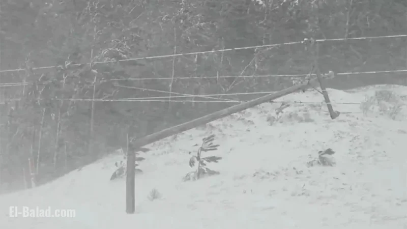 Winter Storm Ezra Slams Midwest: Latest Updates