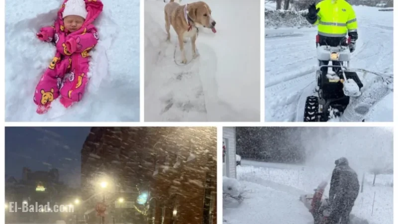 Captivating Photos Reveal Central New Yorkers’ Mastery in Managing Snowstorms