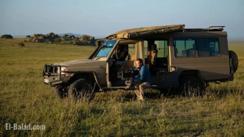 ‘Cheetahs Up Close’ Reveals Stunning Survival Stories in the Serengeti