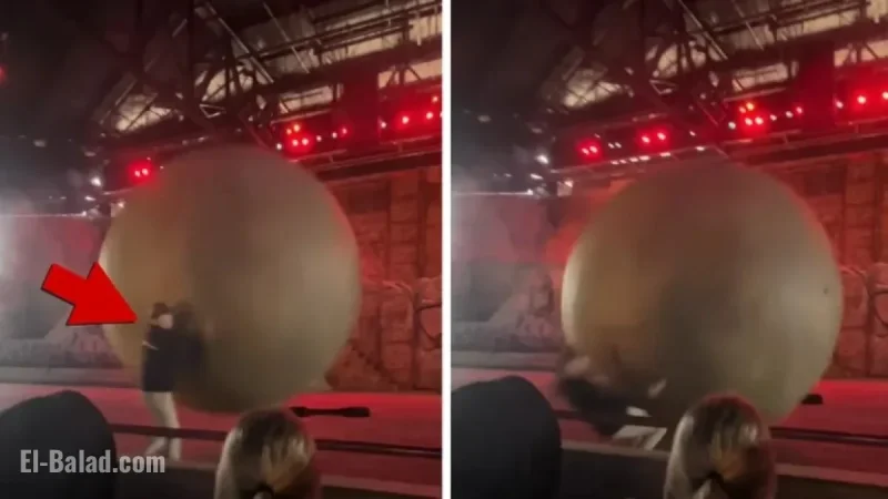 Disney World Employee Struck by Giant Boulder in Captured Footage