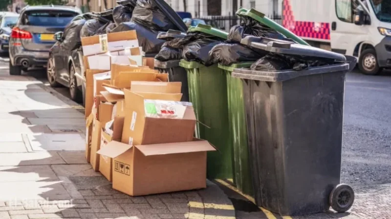 New Bin Collection Rules in 2026: Key Changes Unveiled
