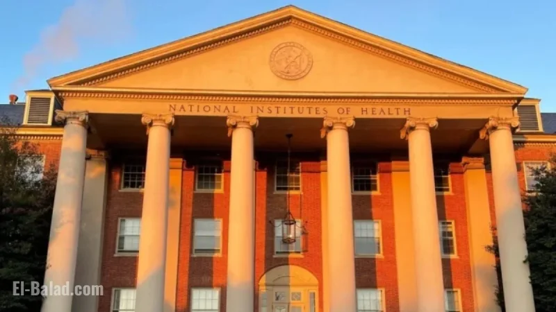 NIH to Reevaluate Suspended DEI Grants