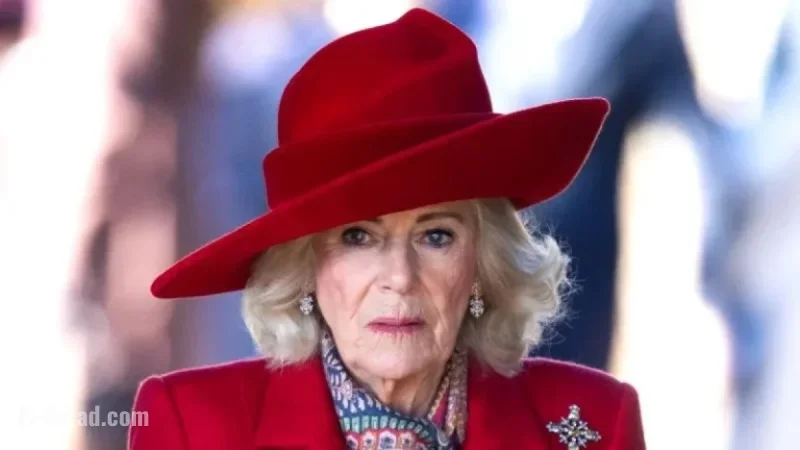 Queen Camilla Discusses Her Teen Train Attack Experience Publicly for First Time