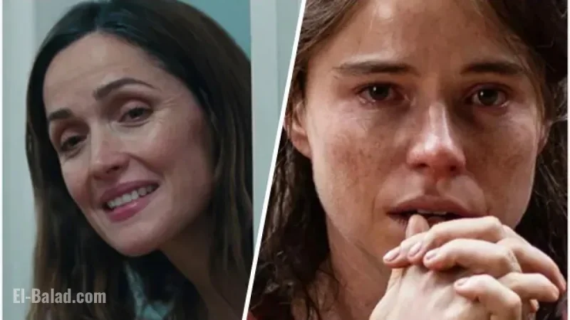Rose Byrne Overtakes Jessie Buckley in Best Actress Oscar Odds Shift