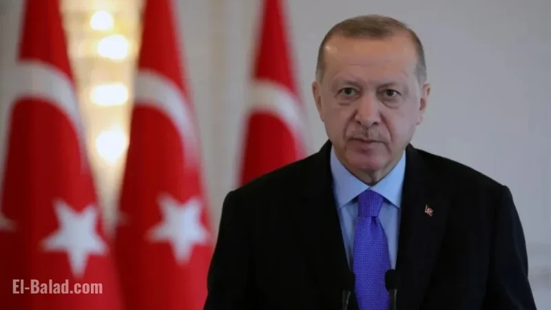 Turkiye, Niger Presidents Discuss Bilateral Ties and Regional Developments