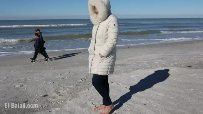 Florida Braces for Widespread Freeze with Statewide Warnings and Advisories