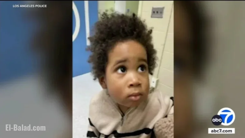 Los Angeles Police Arrest Mother After Toddler Left During Car Theft Attempt