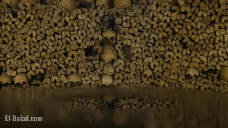 Paris Bans NOVO19’s Underground Megastructures: Summary and Broadcasts