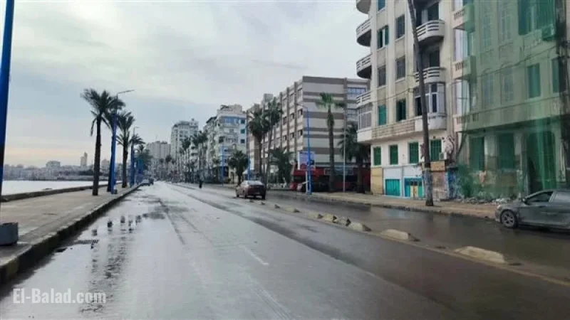 Rainy Start to 2026 in Alexandria (Photos)