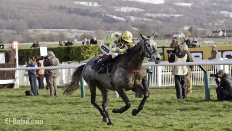 Top Contenders for 2026 Queen Mother Champion Chase Revealed