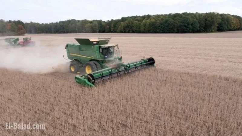USDA Unveils $12 Billion Aid Focused on Rice, Cotton; Soy Farmers Concerned