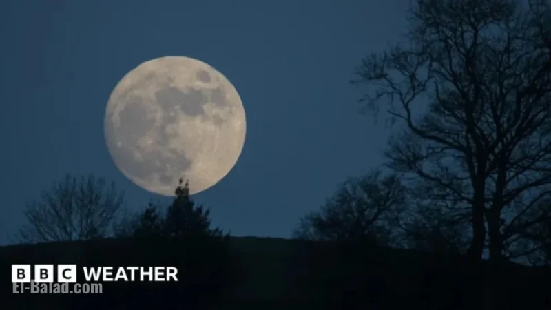 Witness the January 2026 Wolf Supermoon: Viewing Guide and Timing