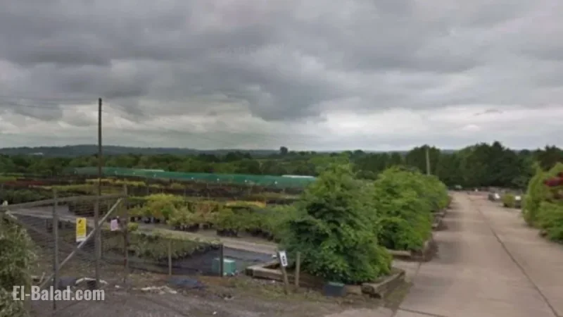 350 Homes and 564 Parking Spaces Planned for Plant Nursery Site