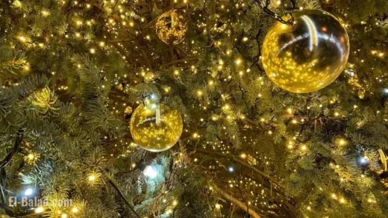 Celebrate New Year in Minsk: Top Spots to Visit After Midnight