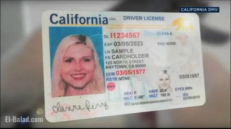 DMV Software Error Forces 325,000 Californians to Replace REAL IDs