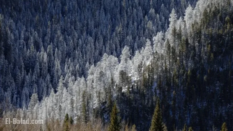 Hazardous Weather Advisory Issued for Colorado Mountains