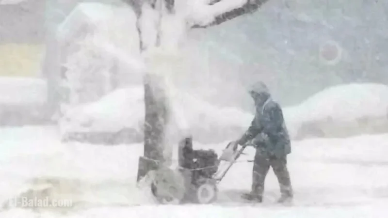 Nova Scotia Braces for Intense Whiteout Conditions