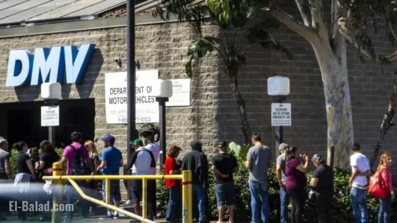 Software Error Forces 325,000 Californians to Obtain New Real IDs