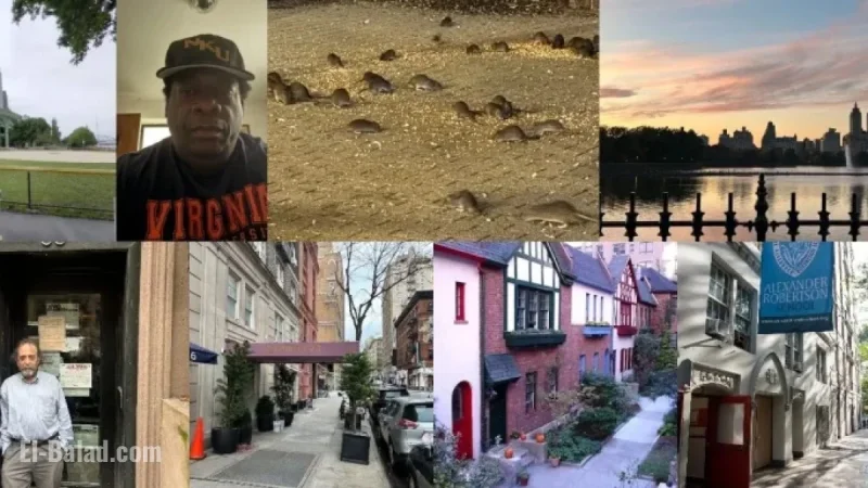 Top 10 Most-Read West Side Rag Stories of 2025