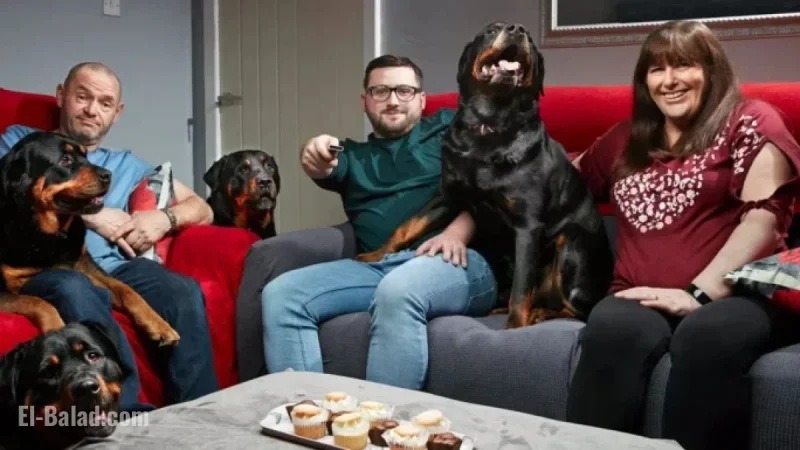 Gogglebox’s Tom and Julie Malone Introduce New Family Member