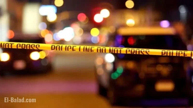 LAPD Probes New Year’s Eve Shooting Involving ICE Agent