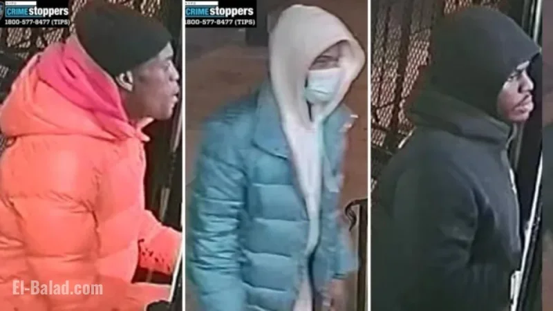 NYPD Hunts Suspects in Wakefield Bodega Shooting of 24-Year-Old Man