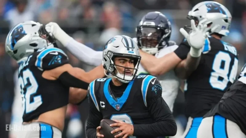 Panthers May Enter Playoffs Winless, a First Since Merger