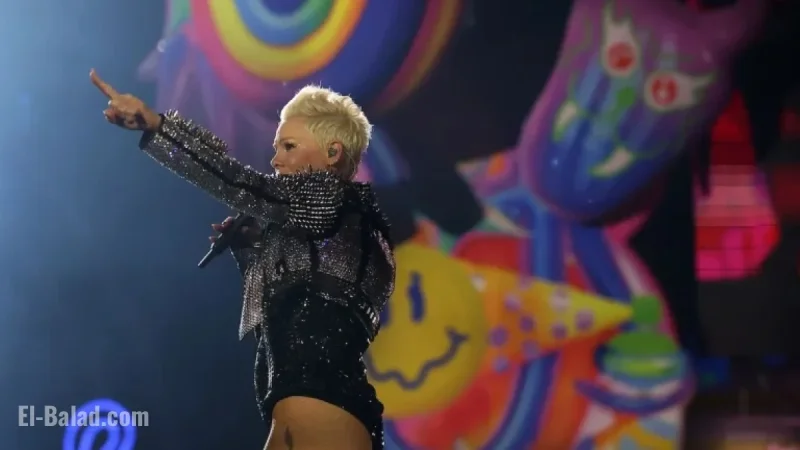Pink Hospitalized on New Year’s Eve, Declares Rock ‘n’ Roll a Contact Sport