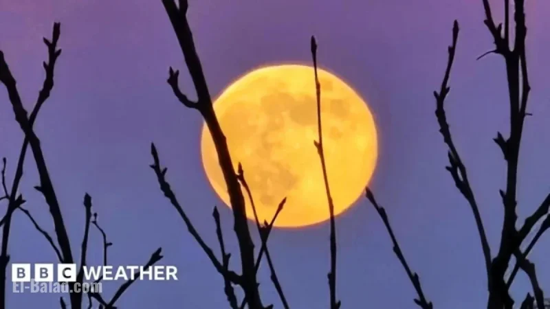 Capture Saturday’s Wolf Supermoon in Stunning Photos