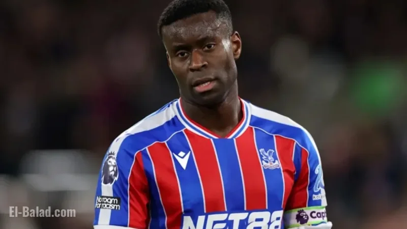 Crystal Palace vs Newcastle: Predicted Lineup and Team News