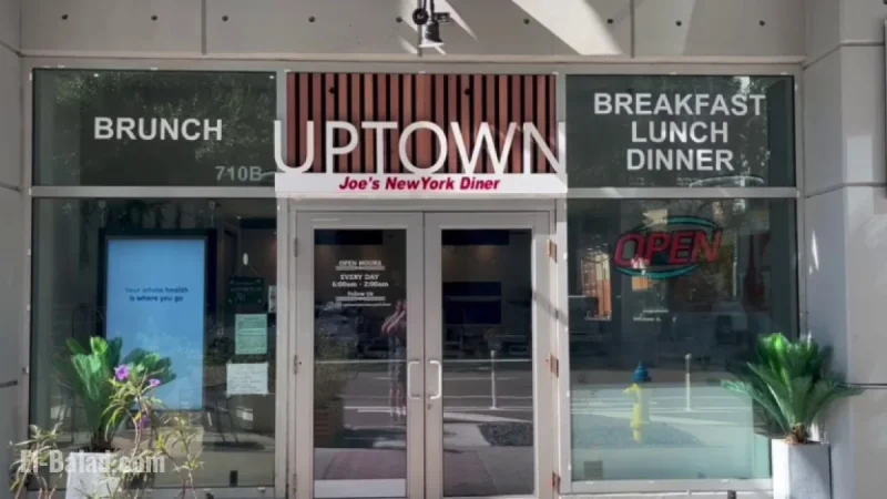 Experience New York’s Essence in Downtown Tampa