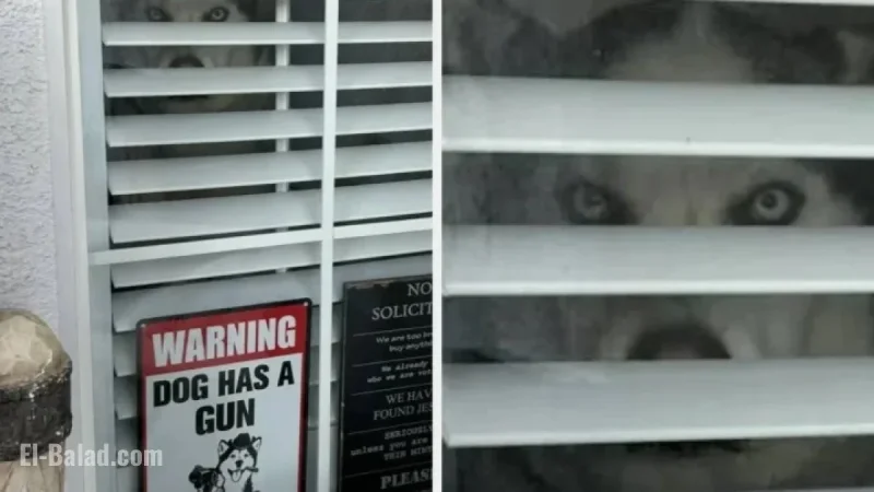 Kickstart 2026 with Laughter: Hilarious Signs to Brighten Your Year