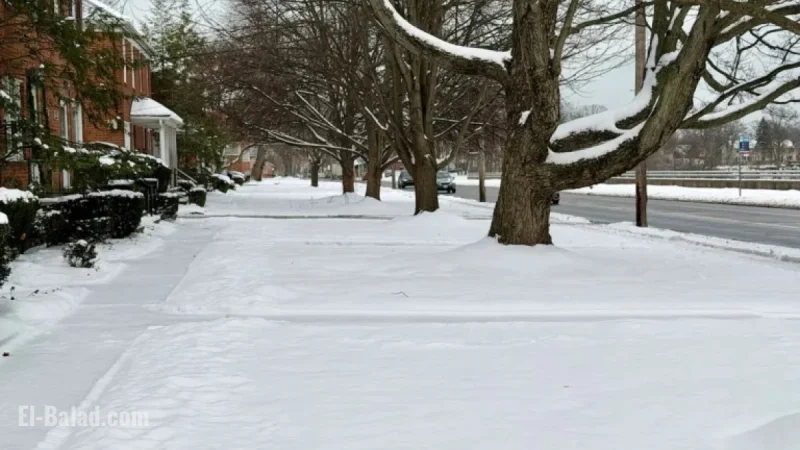 New Year 2026 Snowstorm: Discover Northeast Ohio’s Snowfall Totals