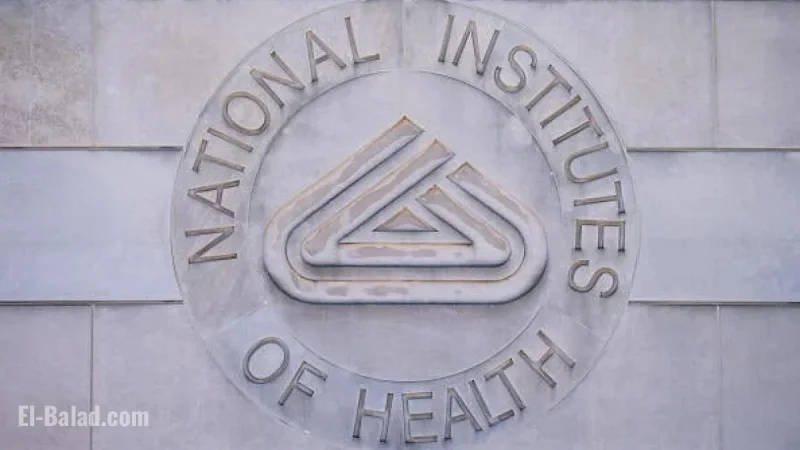 NIH Approves Hundreds of Previously Denied Grant Applications