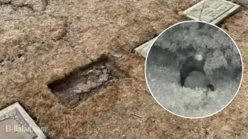 Vandals Damage 1,600 Grave Markers at Woodlawn Celestial Gardens, Compton
