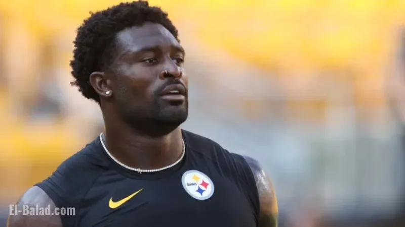 DK Metcalf Suspension: Why Steelers WR Misses Week 18 vs. Ravens