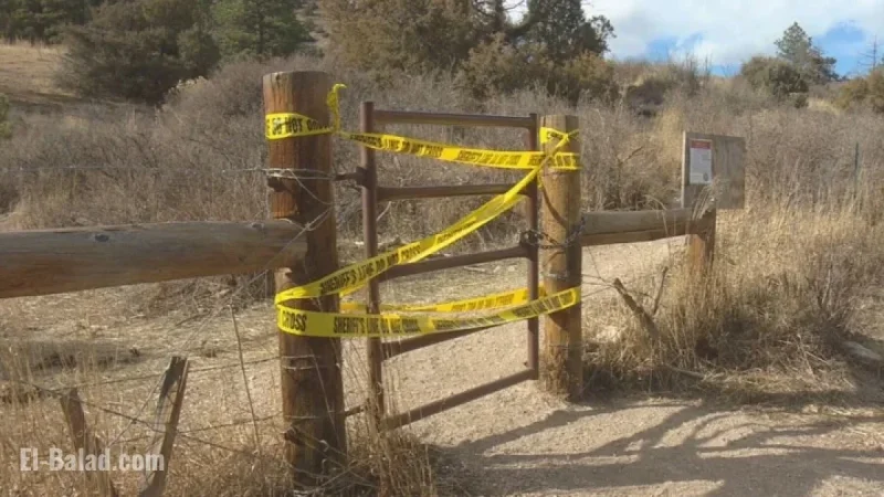 Mountain Lions Surround, Fatally Attack Couple on Northern Colorado Trail