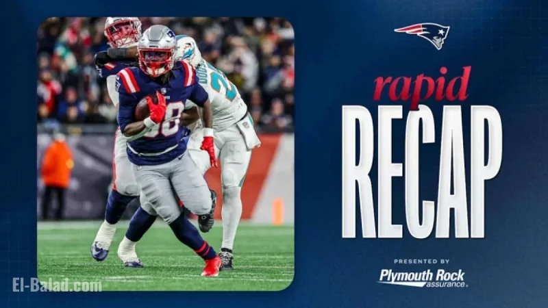 Patriots Dominate Dolphins 38-10, Conclude Season at 14-3