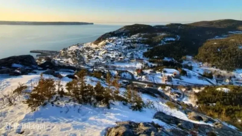Portugal Cove-St. Philips Embraces Inclusivity and Compassion