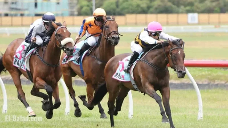 Promising Hello Youmzain Filly Impresses on Track