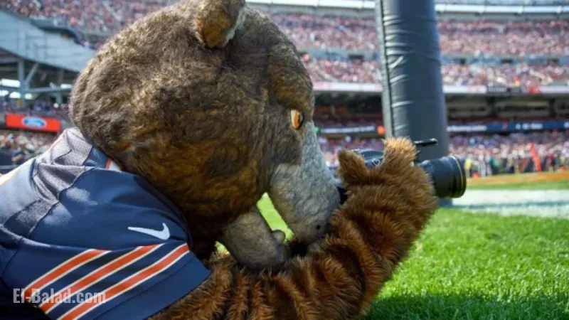 Should the Chicago Bears Rest Key Players on Sunday?