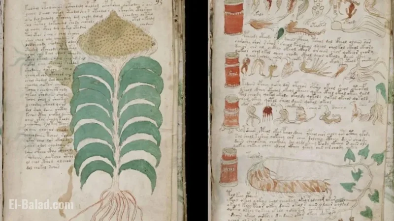 Study Reveals Voynich Manuscript Likely a Medieval Cipher