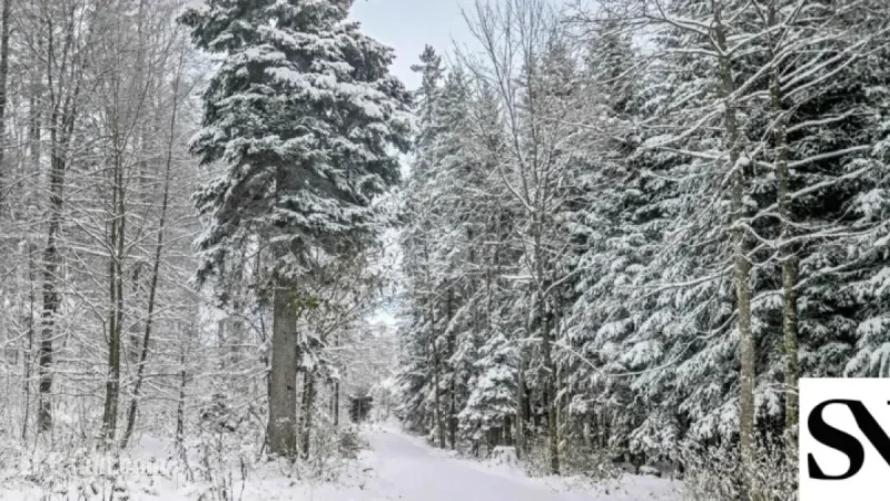 This Week Brings Freezing Cold, Snow Expected by Weekend