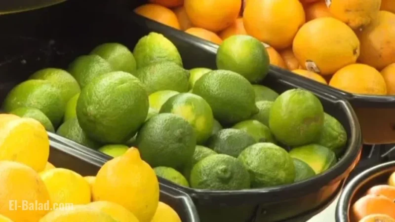 UVic Graduate Develops App to Find Grocery Deals