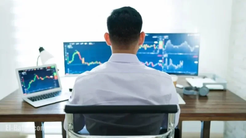 Wall Street Neutral on Oracle; Expects Palantir AI Stock to Surge