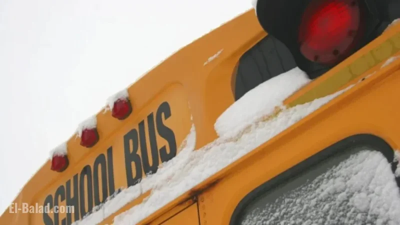 Freezing Rain Forces School Bus Cancellations Across GTA