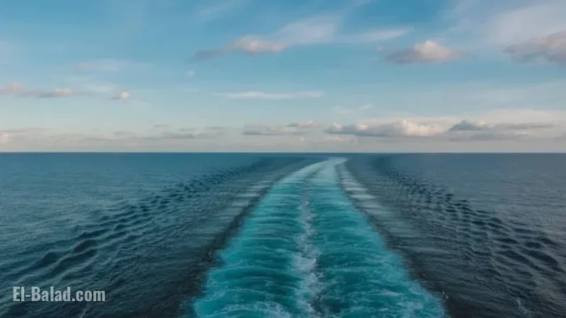 Holland America Line Crafts Cruises for Travelers Aged 65+