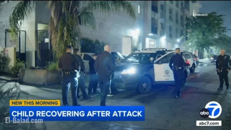 Man Attacks 9-Year-Old; Dog Bites Assailant in Van Nuys