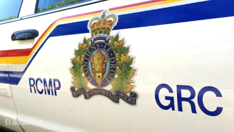 Nova Scotia Boy Dies After Attack by Three Dogs